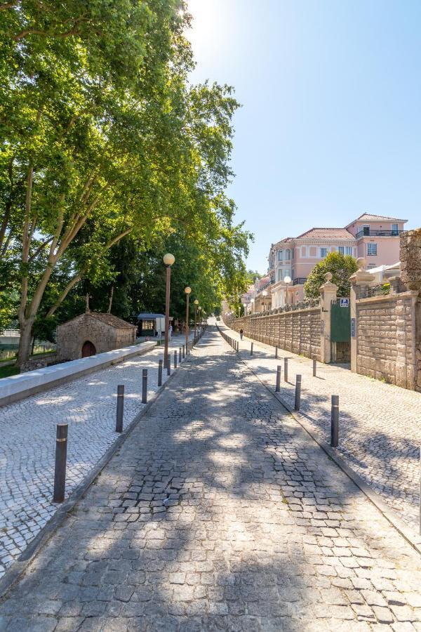 Casa Da Ponte Velha Apartment Termas de São Pedro do Sul Bagian luar foto